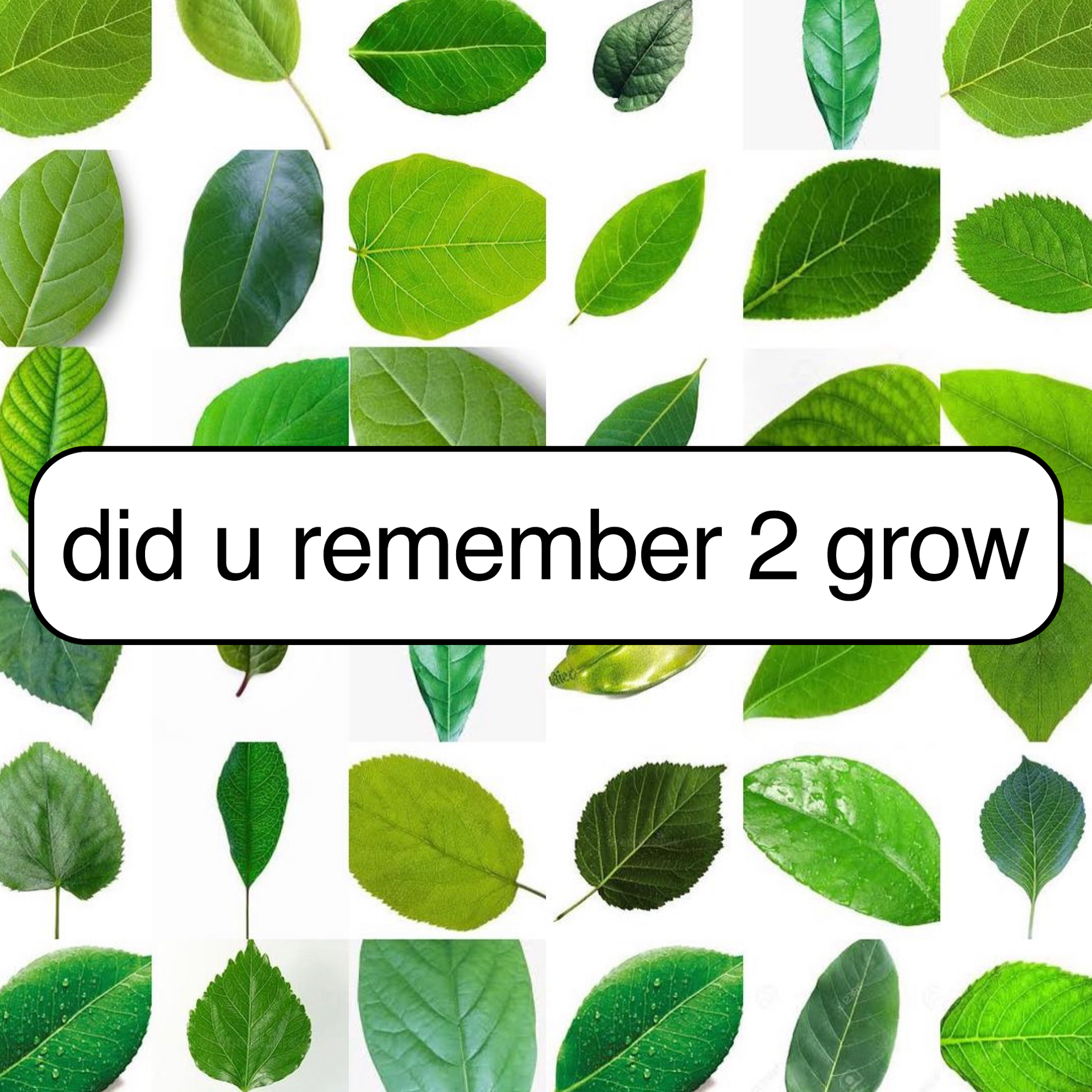 did u remember 2 grow