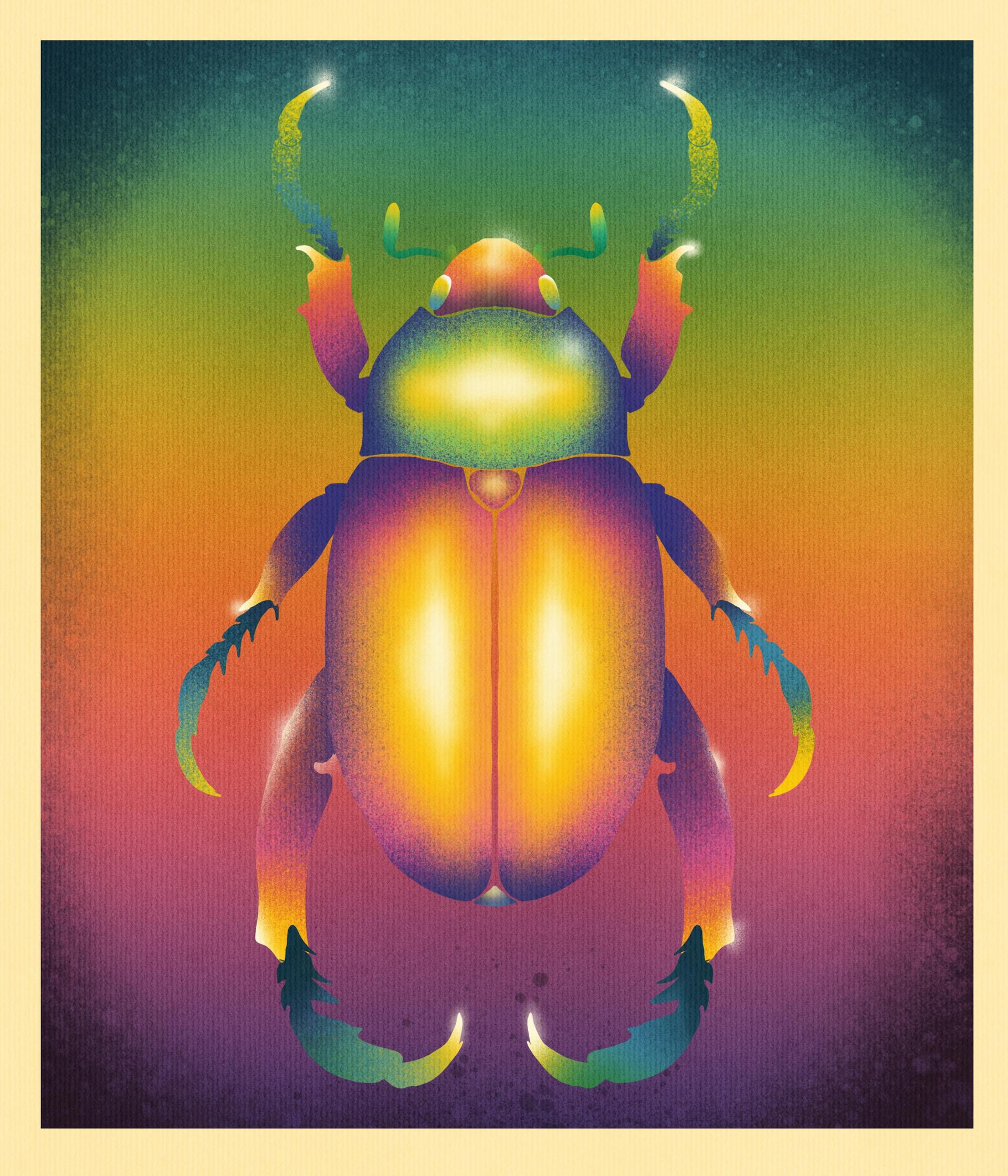 Beetle king